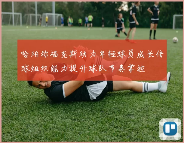 哈珀称福克斯助力年轻球员成长传球组织能力提升球队节奏掌控