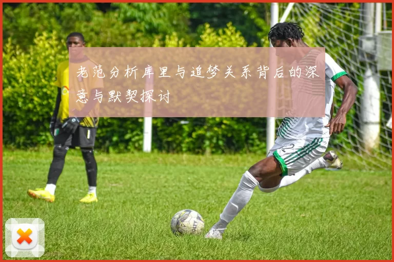 老范分析库里与追梦关系背后的深意与默契探讨