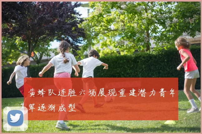 黄蜂队连胜六场展现重建潜力青年军逐渐成型