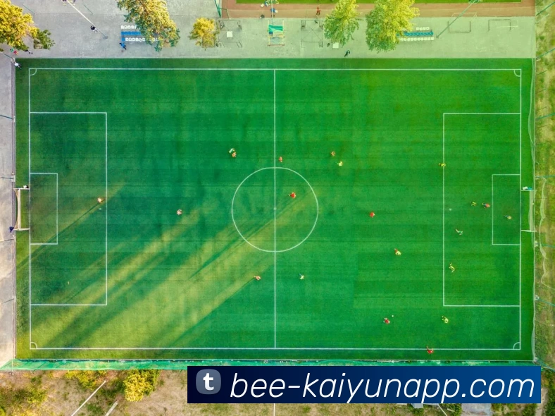 开云体育APP 高清赛事图